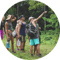 Bastimentos Alive Bastimentos Alive