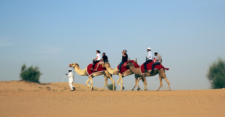 Camel_tour_in_dubai_desert.jpg