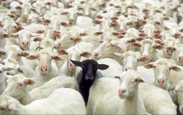 Sich von der Konkurrenz abheben